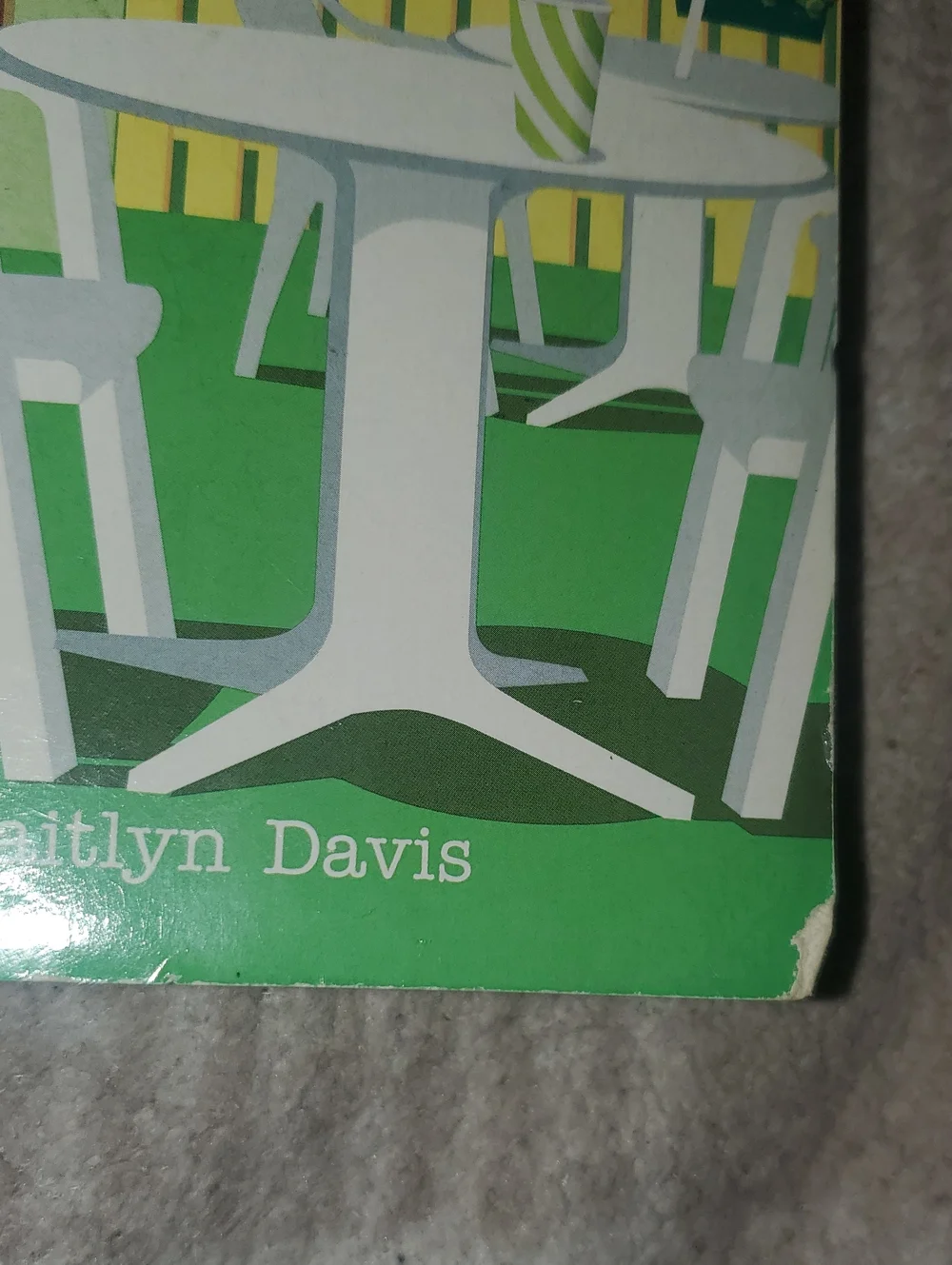 5 for $25 | What's Hot by Caitlyn Davis Paperback Novel